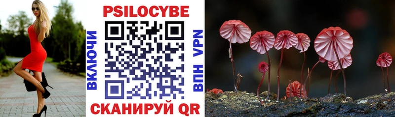 Псилоцибиновые грибы Magic Shrooms  Карабаш 
